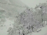 保康、谷城、南漳等地迎来“桃花雪”