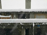 保康、谷城、南漳等地迎来“桃花雪”