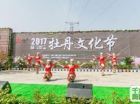 襄阳建成千亩牡丹花海 洛阳你可要小心喽!