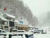 保康、谷城、南漳等地迎来“桃花雪”