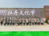 襄阳建成千亩牡丹花海 洛阳你可要小心喽!