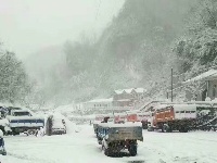 保康、谷城、南漳等地迎来“桃花雪”