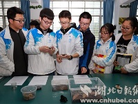 襄阳一高中“昆虫社团”展出上百种昆虫标本(图)