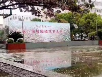 樱花雨中飘落 柔情怜花殇
