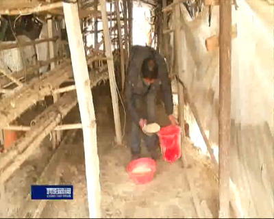 【新春走基层】忙年的人——老郭的脱贫账