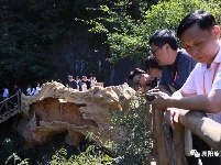 【第九届诸葛亮文化旅游节】“百媒千旅看襄阳”南漳行