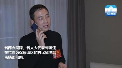 【襄视频】省人大代表刘勇：龙头带动 助力精准脱贫