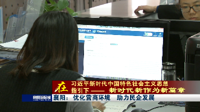 【在习近平新时代中国特色社会主义思想指引下---新时代新作为新篇章】襄阳：优化营商环境  助力民企发展