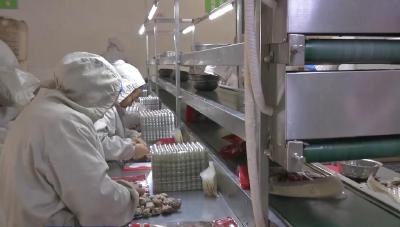 【V视】宜城：让香菇成为挣外汇的“香饽饽”