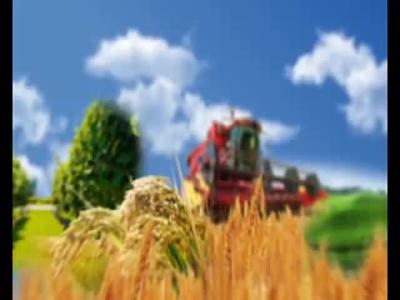 襄阳三农 2019 -03-16