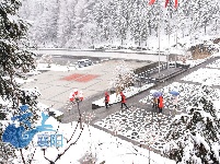 保康“桃花雪”景美如画