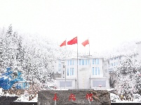 保康“桃花雪”景美如画
