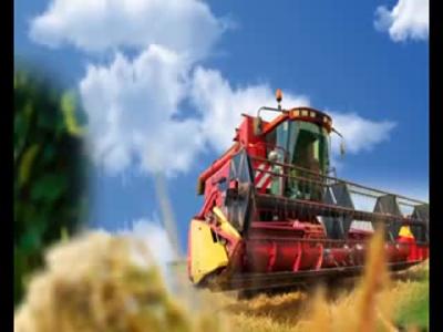 襄阳三农 2019-03-17