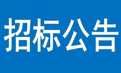471省道南漳县毛家嘴至双坪段改建（敖家垱桥改造）工程