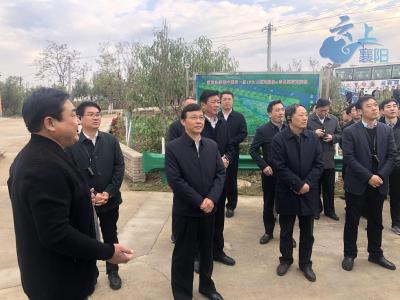 枣阳美丽乡村建设的新实践