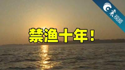 【襄视频】“十年禁渔”后襄阳水产价格会上升吗？官方答复来了！