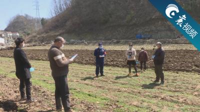 防疫宣传检查三合一 助力春耕生产保安全