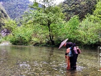 谷城县赵湾盘山“云梯” 飞雪迎春绿映红