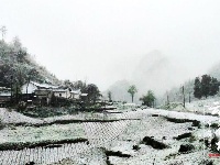 谷城县赵湾盘山“云梯” 飞雪迎春绿映红