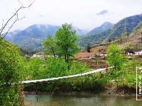 谷城县赵湾盘山“云梯” 飞雪迎春绿映红