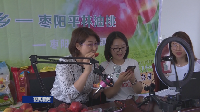 枣阳：镇委书记直播带货   拓宽鲜桃销路