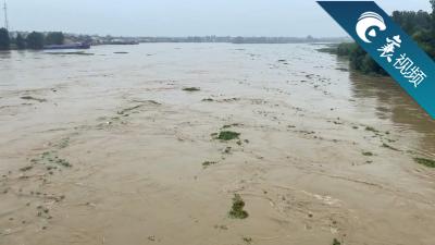 【襄视频】唐白河将迎来十年最大的洪峰