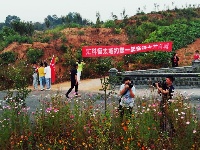 谷城县冷集塔湾村：探漫山红花一支香 寻荷花池中一点绿