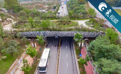 【襄视频】Nice！襄阳首座生态天桥来了！