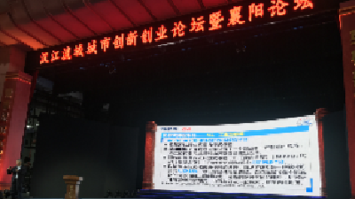2020汉江流域城市创新创业论坛暨襄阳论坛举行