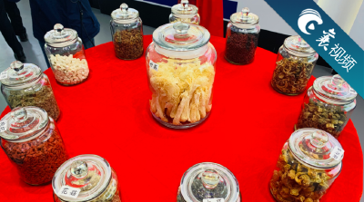 【襄视频】秋赛·南漳项目风采——造房子用的、餐桌上吃的、周末去玩的，这里都有……