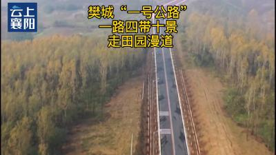 【襄视频】樊城人的幸福“一号公路”