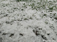 襄阳市区冬天的第一场雪