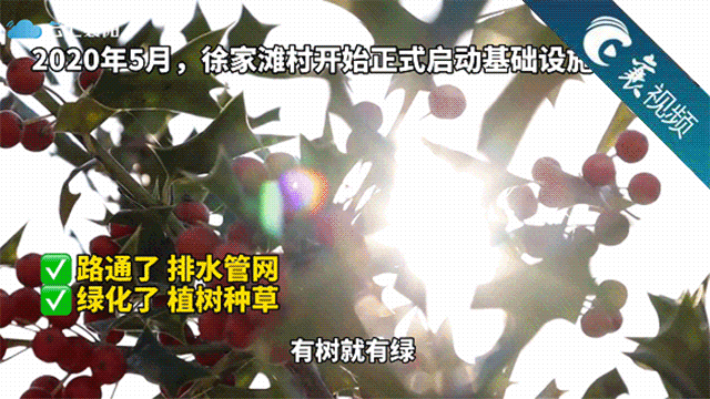 【襄视频】美丽乡村，让她们口口称赞，还让他们娶上了媳妇儿！
