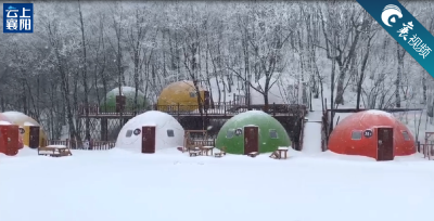 【襄视频】襄阳保康今日迎来降雪，一起来赏雪吧！