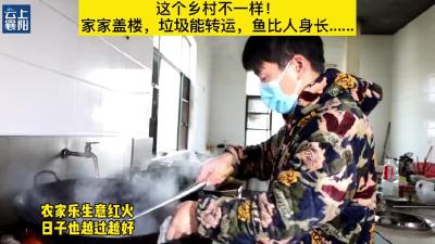 【襄视频】这个乡村不一样！家家盖楼房、垃圾能转运、鱼比人都长