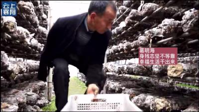 【襄视频】身残志坚，一只手也能创造幸福生活！