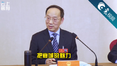 【襄视频】两会60秒：听听书记说了啥