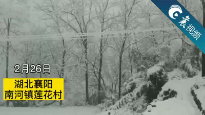 【襄视频】下雪了！襄阳的南河镇一夜“白”了