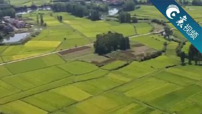 【襄视频】你家门口的路修好了吗？