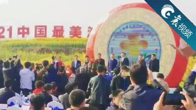 【襄视频】隔壁家的油菜花真不赖