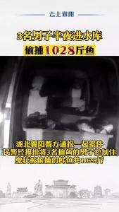 3名男子半夜进水库偷捕1028斤鱼 鲜鱼密密麻麻铺满地面