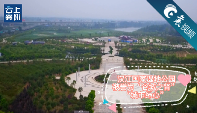 【襄视频】以“汉江”为名！这个湿地公园不一般