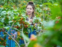 南漳：万亩樱桃红  民富村更美