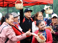 南漳：万亩樱桃红  民富村更美