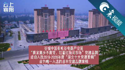【襄视频】谷城中国有机谷电商产业园党建品牌入选“湖北十大党建案例”