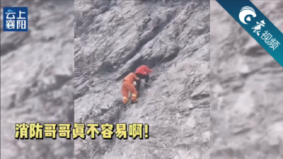 【襄视频】上得去，下不来！千万别拿自己开玩笑！