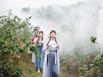 南漳：万亩樱桃红  民富村更美