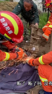 耕地出意外 咬腿难脱身
