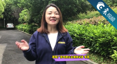 【襄视频】“党风政风热线走进园区”特别节目：党建引领，促进园区发展、企业壮大！