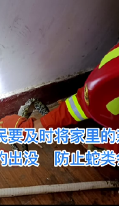 端午驱五毒，竟引来消防员